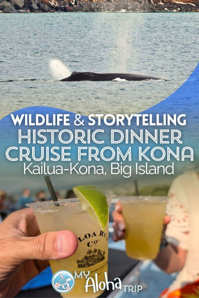 The historic dinner cruise from Kona is a great way to enjoy a meal, Hawaiian stories and wildlife watching all at once. Leaving from the Kailua Pier, see what to expect with the Body Glove Hawaii Kona dinner cruise, including tips for a great sailing.