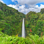 Akaka Falls State Park Hilo Big Island Hawaii 4