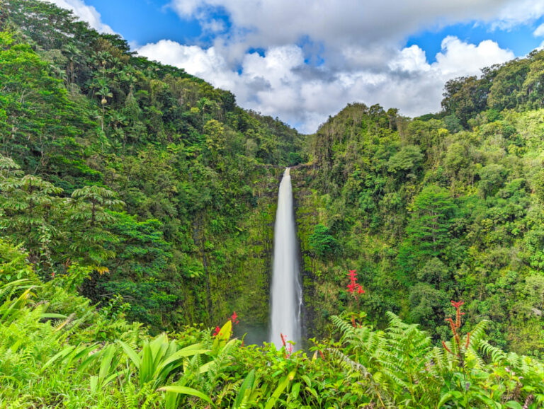 Akaka Falls State Park Hilo Big Island Hawaii 4