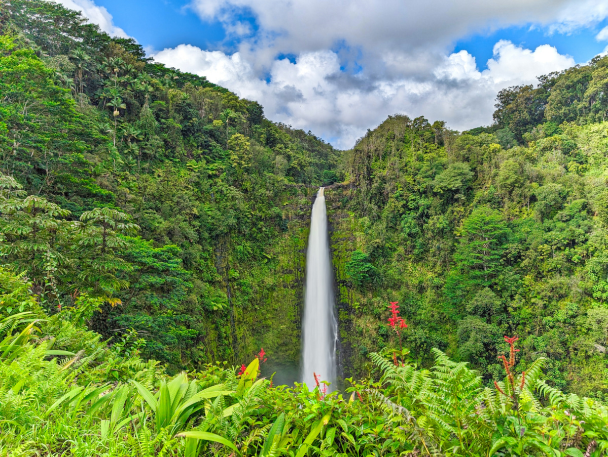 Beautiful Akaka Falls State Park: Hilo’s Epic Waterfall Experience