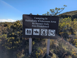 Camping at Hosmer Grove in Beautiful Haleakala National Park