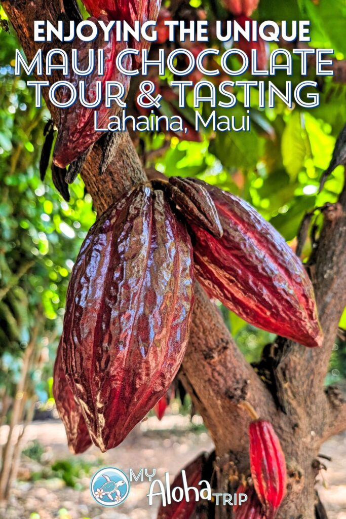 The Maui Chocolate Tour is much more elevated and interesting than I would've guessed. From learning about how chocolate is farmed and made from cacao to trying Kuia chocolates in the style of a wine tasting, this is a great experience in Lahaina on Maui.