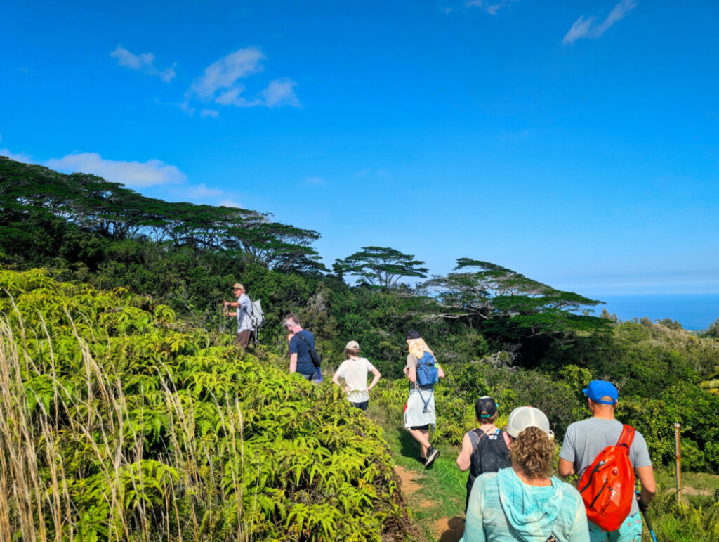 Guided Hike with Hawaii Forest and Trail Kohala Waterfall Hiking Big Island Hawaii 3