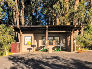 Camping at Hosmer Grove in Beautiful Haleakala National Park