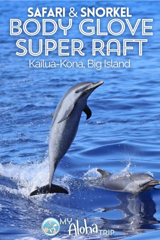 Snorkeling the Kona Coast of the Big Island of Hawaii is great but doing it via the Super Raft Safari is awesome. Body Glove Hawaii does a snorkeling adventure tour from Kailua-Kona that's one part safari and one part underwater exploring. We've got all the details!