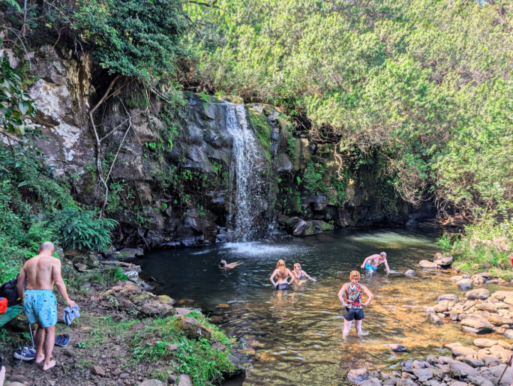 Swimming in waterfall with Hawaii Forest and Trail Kohala Waterfall Hiking Big Island Hawaii 2