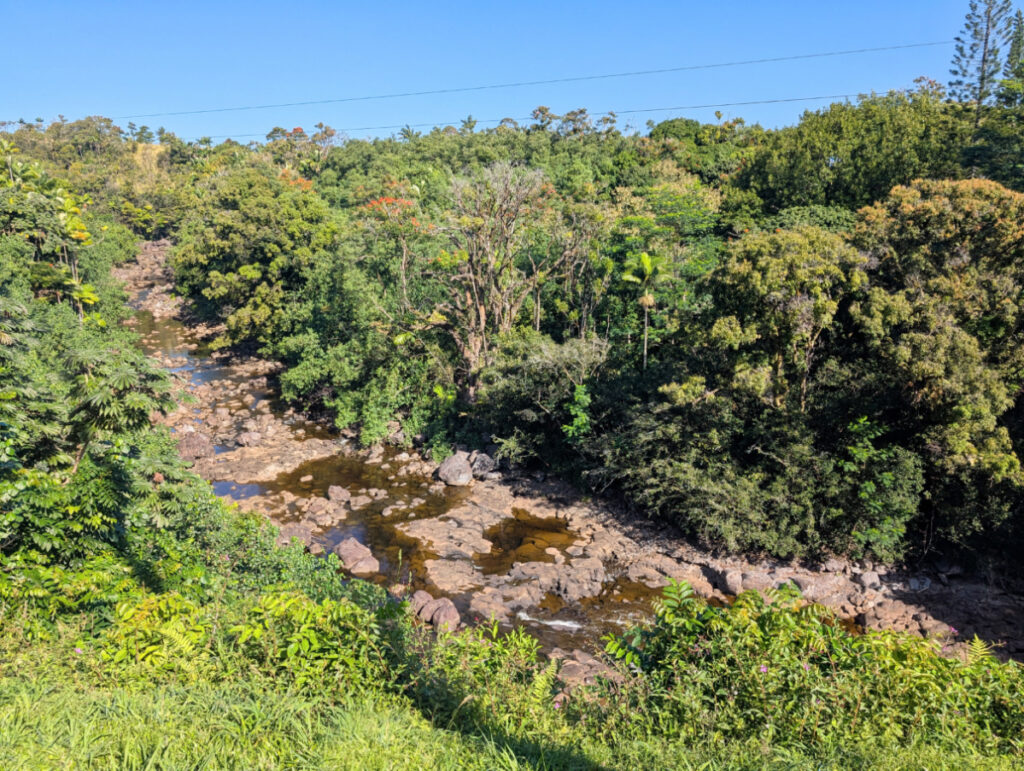 Umauma River from Deck at Umauma Experience Hilo Big Island Hawaii 1