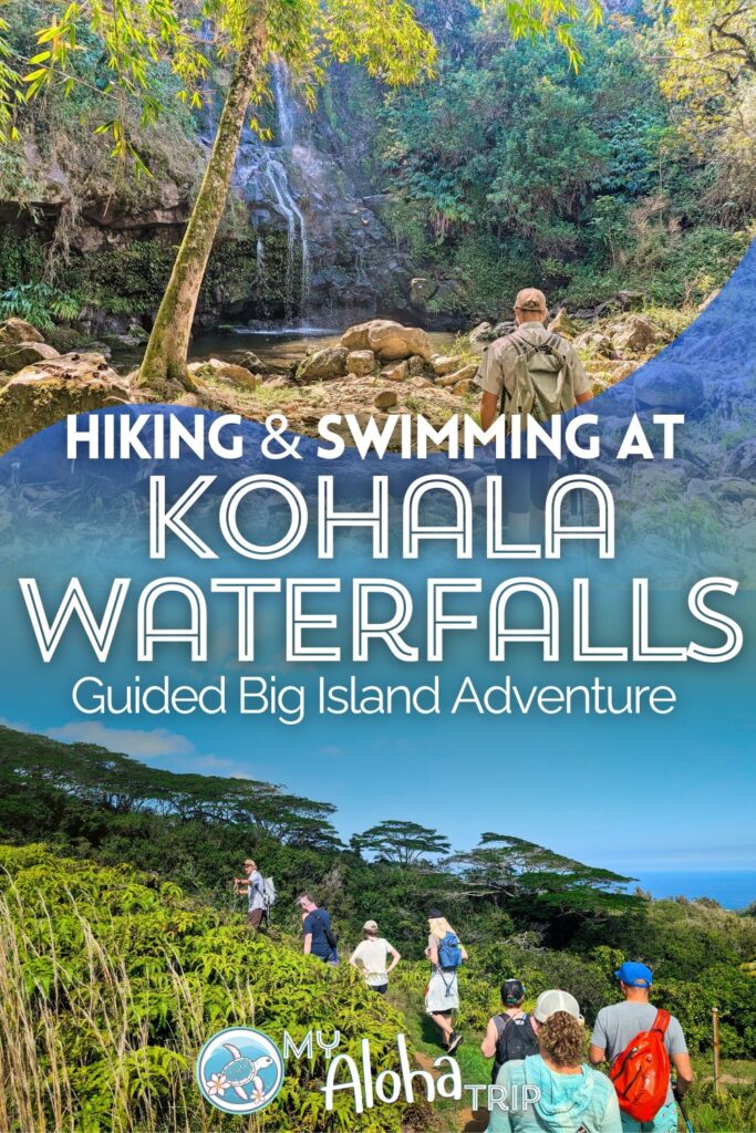 Kohala Waterfalls hiking is a very special thing to do on the Big Island of Hawaii. Limited access to the waterfalls on the northernmost point of Hawai'i makes this guided hiking and waterfall swimming adventure extra special. See what to expect and how to plan for this unique Hawaii experience.