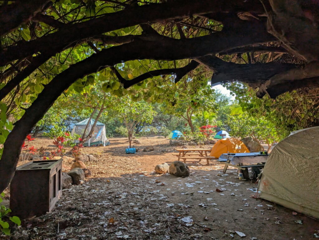 Campground at Camp Olowalu Maui Hawaii 1