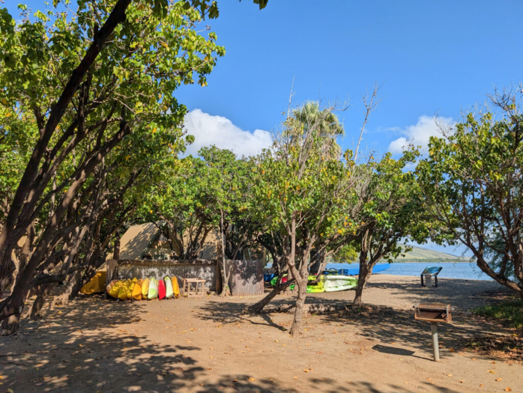 Kayak Rentals at Camp Olowalu Maui Hawaii 1