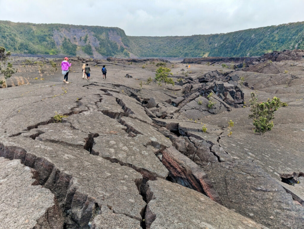 Crater Floor on Kilauea Iki Trail in Hawaii Volcanoes National Park Big Island 4