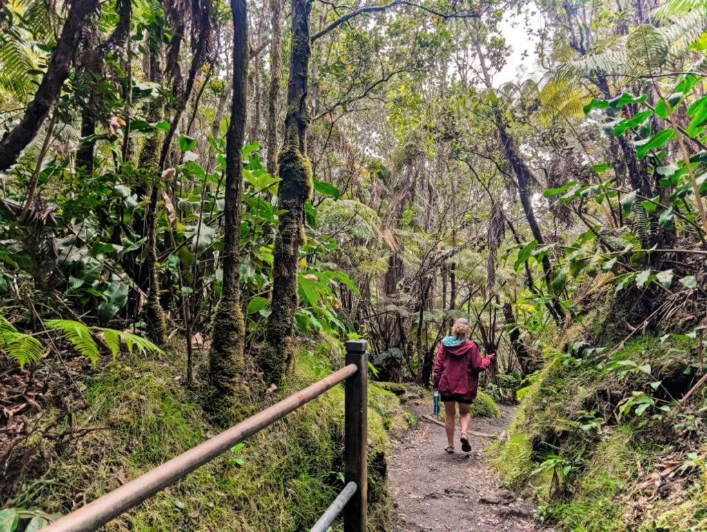 Hiking Kilauea Iki Trail in Hawaii Volcanoes National Park Big Island 2