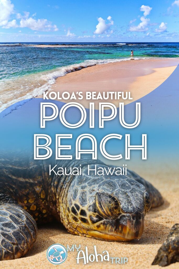 Poipu Beach on Kauai's South Shore, aka Brennecke's Beach, is one of the best public beach swimming spots. With more than a beautiful sandy area to enjoy, Poipu is a great destination for a half or full day on Kauai.