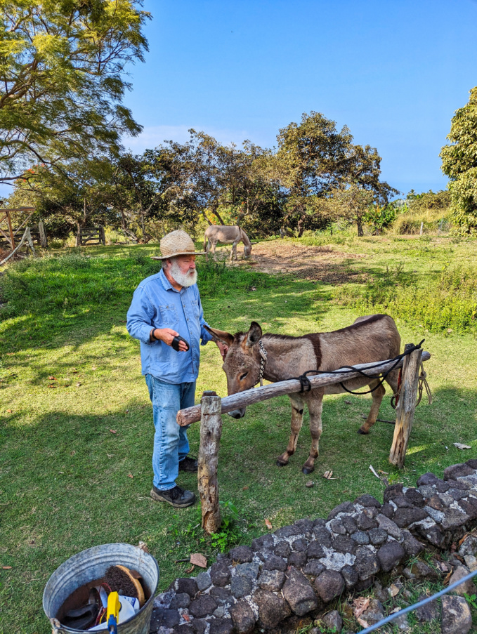 Farm Demonstration at Kona Coffee Living History Farm Captain Cook Big Island Hawaii 1