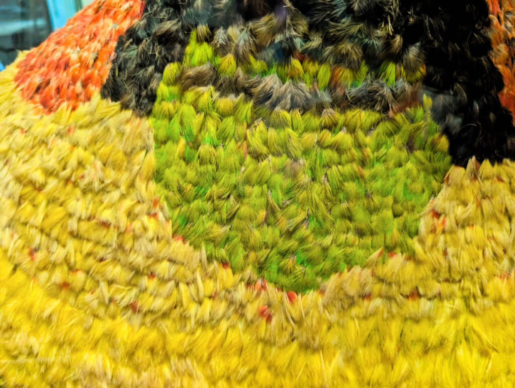 Close Up of feathers in Royal Ahuula Robe exhibit at Queen Emmas Summer Palace Honolulu Oahu Hawaii 1