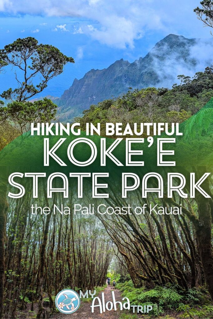 Hiking in Kokee State Park is one of the most beautiful things you can do on Kauai. Yes, there are challenging trails, but the epic views and dramatic forests are worth it. See our top picks for trails and visiting Koke'e State Park if you're not interested in hiking.