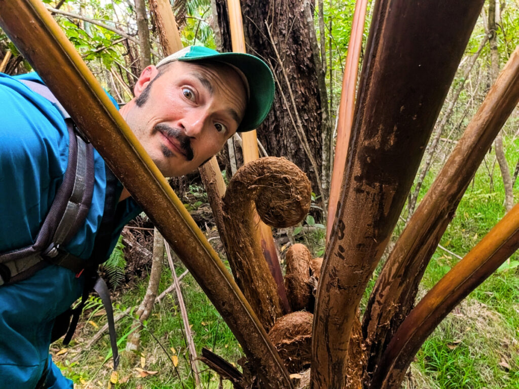 Rob Taylor with Giant Fern in Hawaii Volcanoes National Park Big Island 1