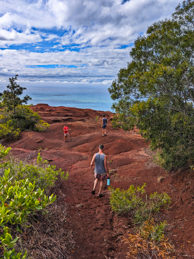 Taylor Family hiking at Oceanview Forest Preserve Kokee State Park NaPali Coast Kauai 6