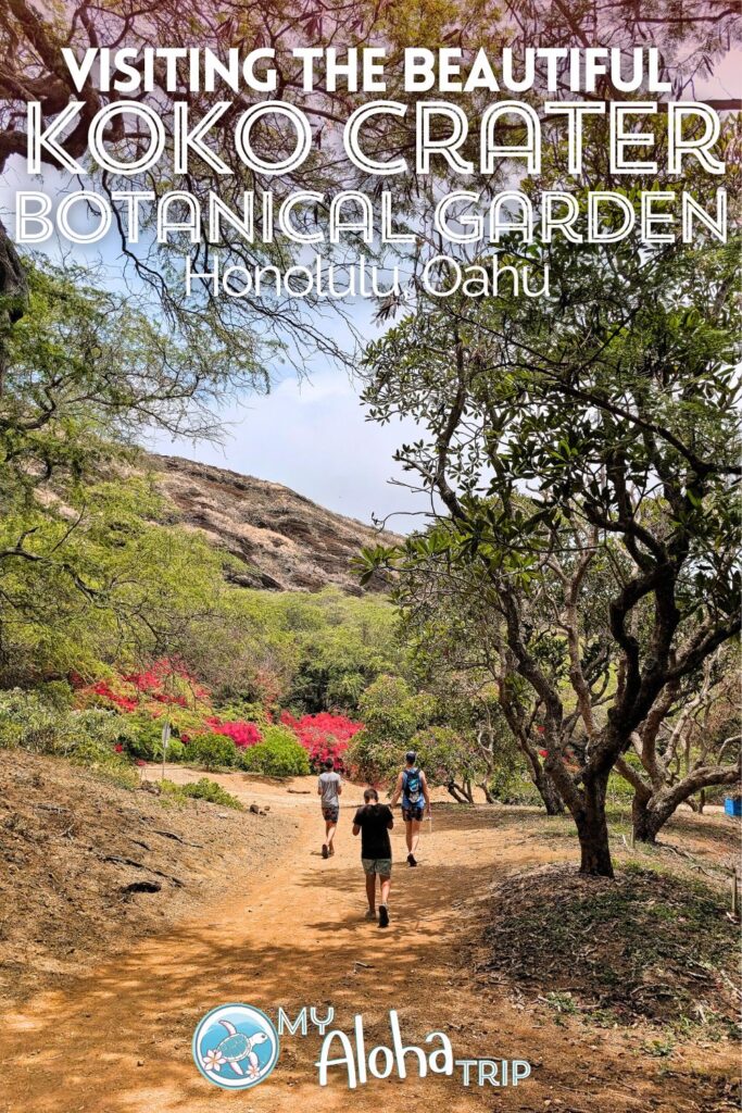 Visiting the Koko Crater Botanical Garden just outside of Honolulu is a beautiful experience where you'll be inundated with plumeria. See what you'll find in the garden from hiking trails to desert plant species, and consider adding this fun spot to your time on Oahu.