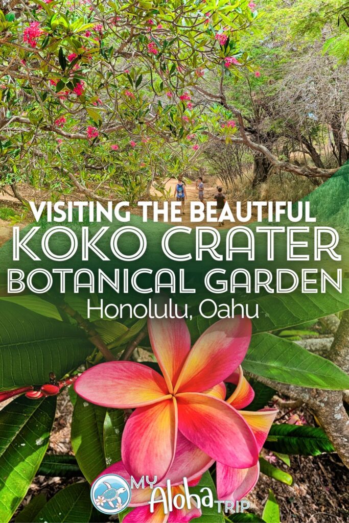 Visiting the Koko Crater Botanical Garden just outside of Honolulu is a beautiful experience where you'll be inundated with plumeria. See what you'll find in the garden from hiking trails to desert plant species, and consider adding this fun spot to your time on Oahu.
