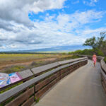 Kelly on Boardwalk at Kealia Pond National Wildlife Refuge Kihei Maui Hawaii 1