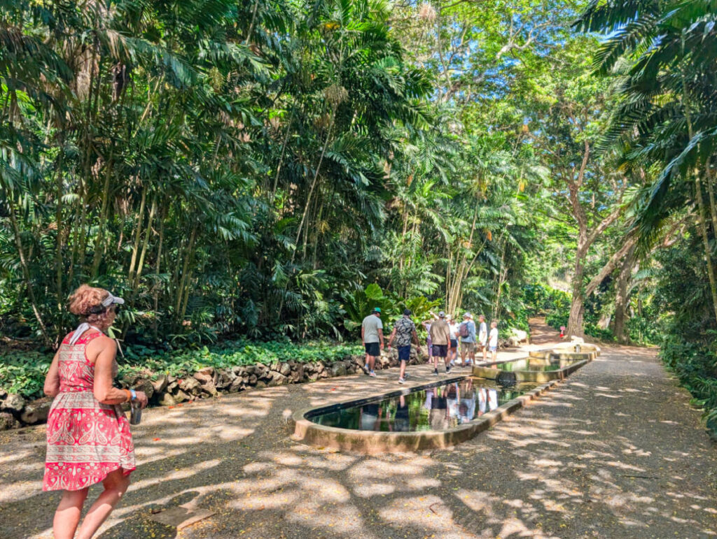 Reflecting Pool at Allerton National Tropical Botanical Gardens Poipu Kauai Hawaii 2