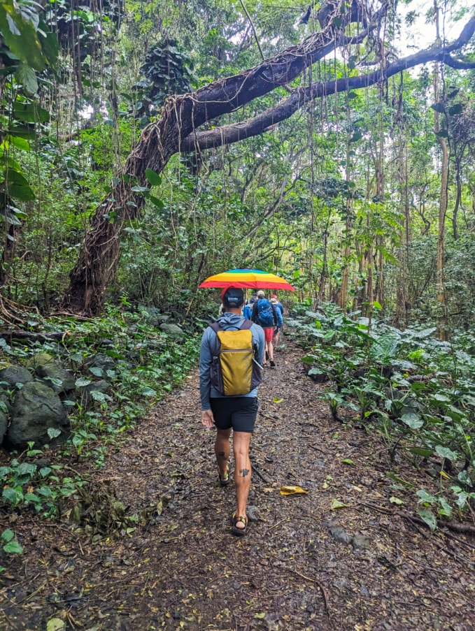Rob Taylor hiking with rainbow umbrella in Halawa Valley Molokai Hawaii 1