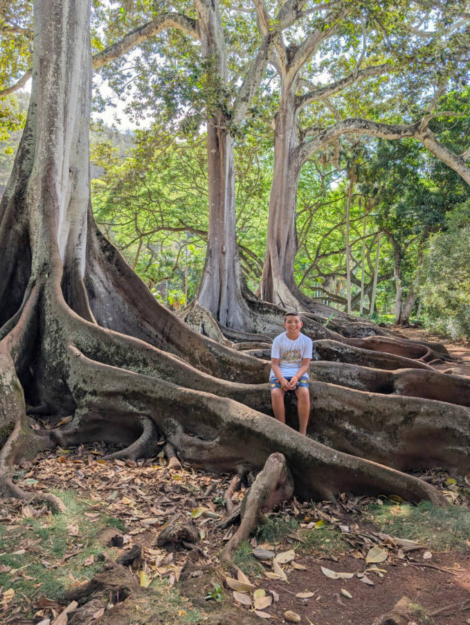 Taylor Family with Banyan tree at Allerton National Tropical Botanical Gardens Poipu Kauai Hawaii 2