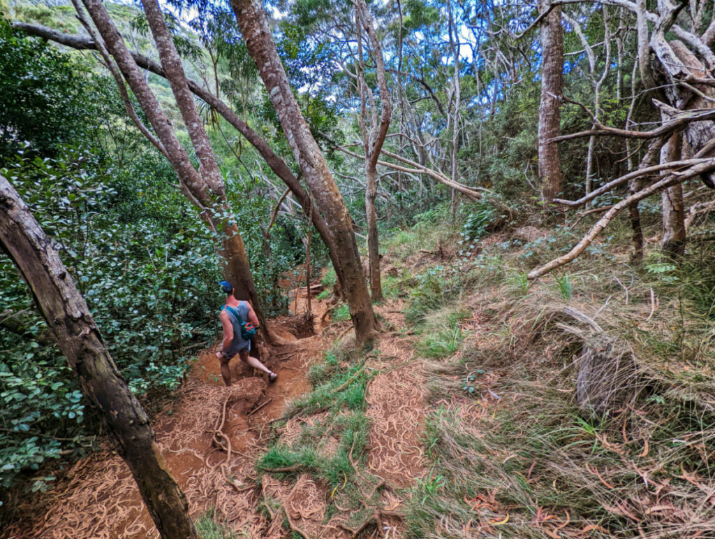 Chris Taylor Hiking Canyon Trail in Waimea Canyon State Park South Shore Kauai Hawaii