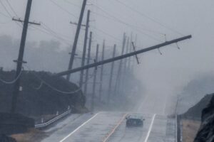 Hurricane Lala Damage on Big Island of Hawaii