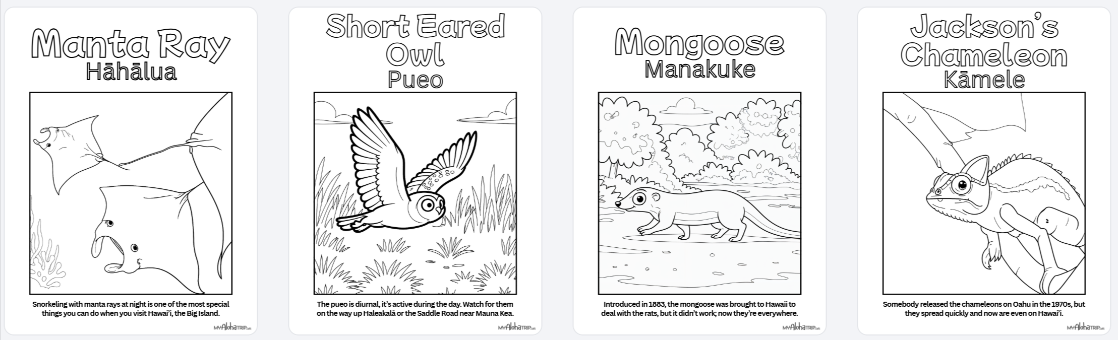 Hawaii Wildlife Coloring Pages Examples 1